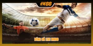 Bóng đá live HM88
