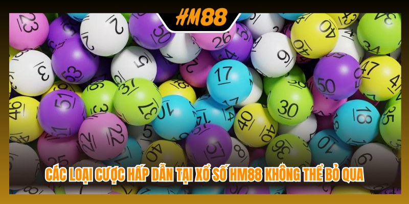 Các loại cược hấp dẫn tại xổ số HM88 không thể bỏ qua