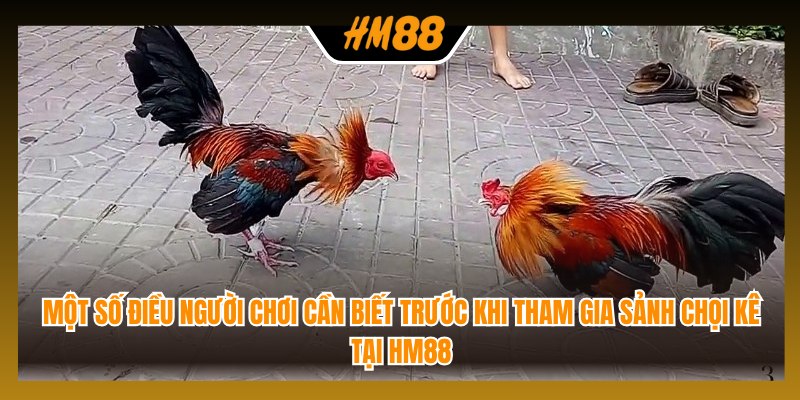 Một số điều người chơi cần biết trước khi tham gia sảnh chọi kê