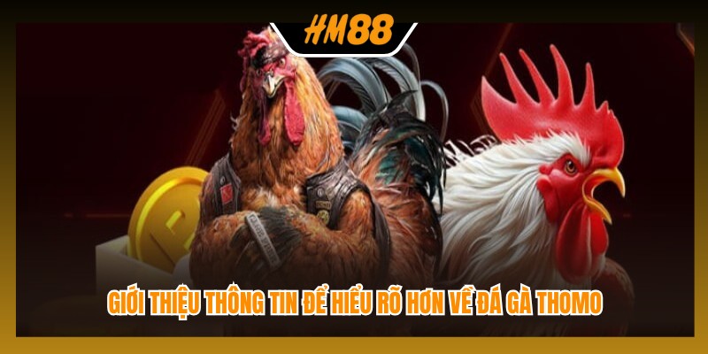 Giới thiệu thông tin để hiểu rõ hơn về đá gà Thomo
