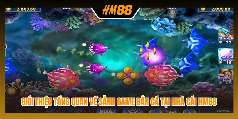 Giới thiệu tổng quan về sảnh game bắn cá