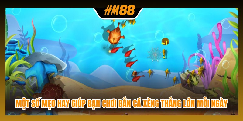 Một số mẹo hay giúp bạn chơi bắn cá xèng thắng lớn mỗi ngày