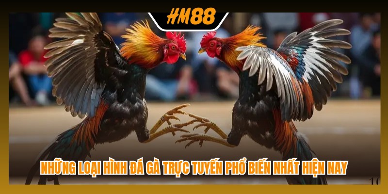 Những loại hình đá gà trực tuyến phổ biến nhất hiện nay